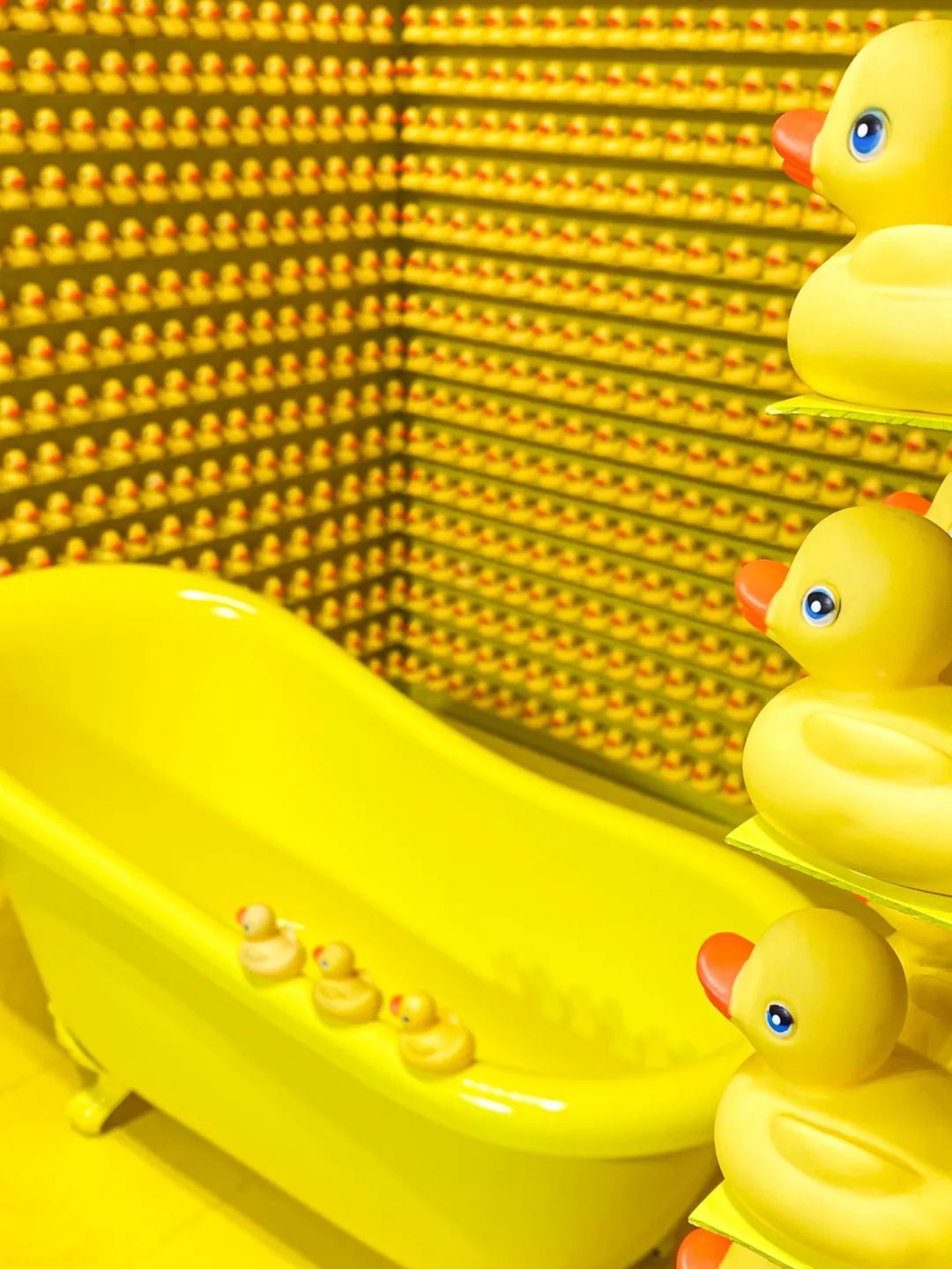 悉尼冬天能旅游吗,悉尼的冬季