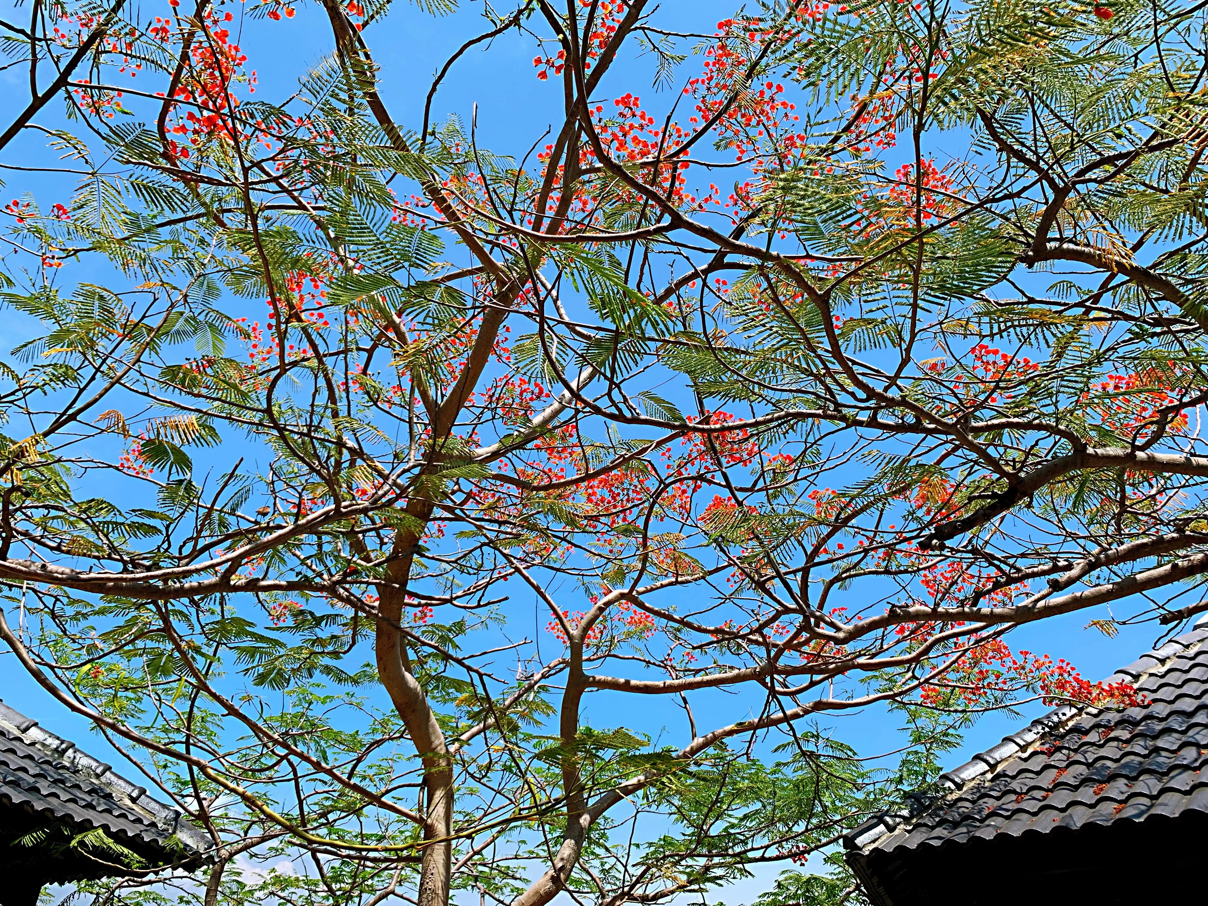 去芽庄玩入住哪个酒店看海景最好,越南芽庄海上旅游攻略