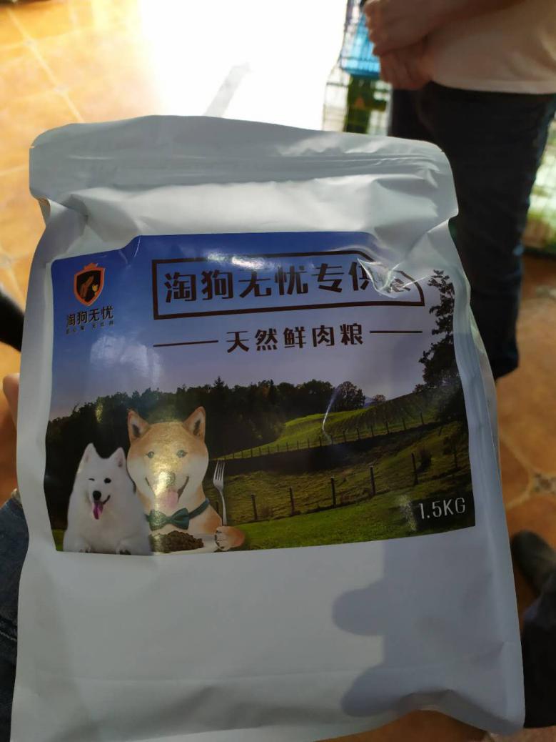 北京月流水超百万的猫狗活体专卖店,都有啥套路?
