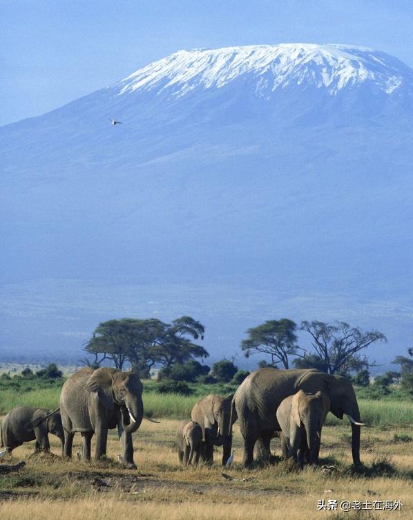 曾经多少人怀着梦想去深圳,中国人在刚果淘金发财