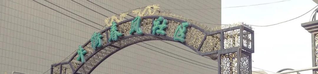 这就是牛完整视频,北京市牛街