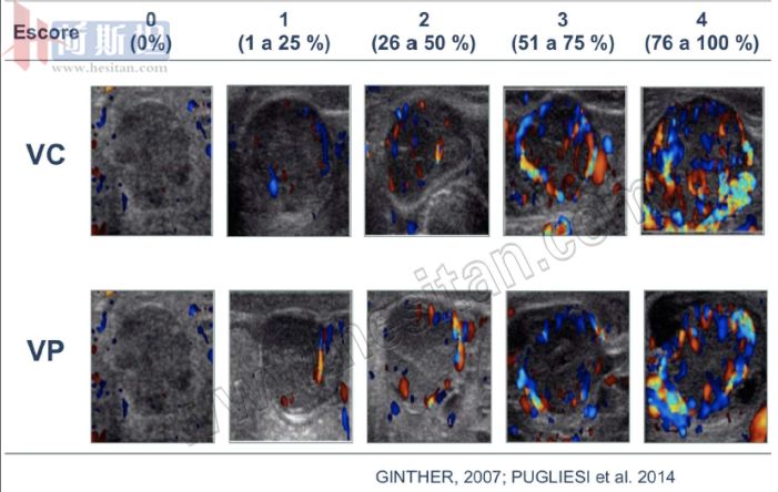 繁育母牛一年的利润,母牛如何做到一年一个犊