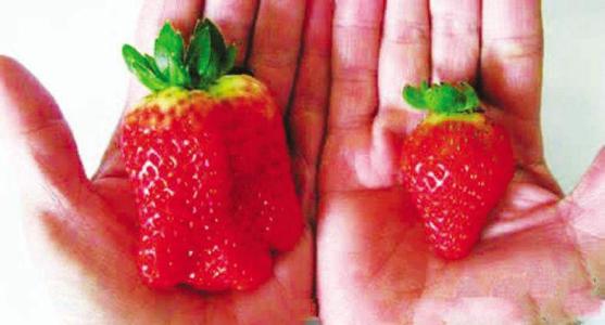 催熟剂有没有解药,催熟剂有害吗