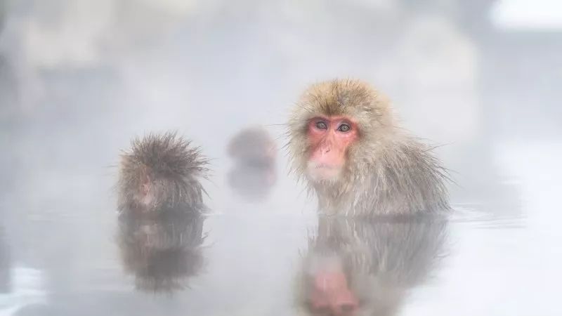 冬天去哪儿玩比较暖和,7-12月适合去哪儿玩儿