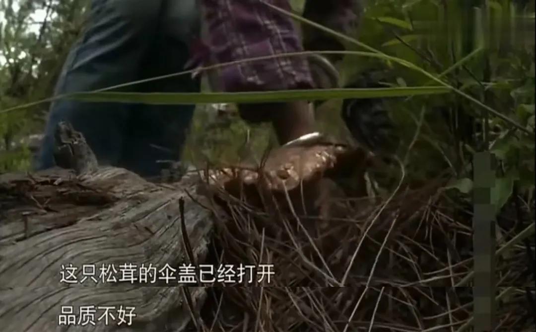 香格里拉有什么不能冒犯,香格里拉为什么神秘