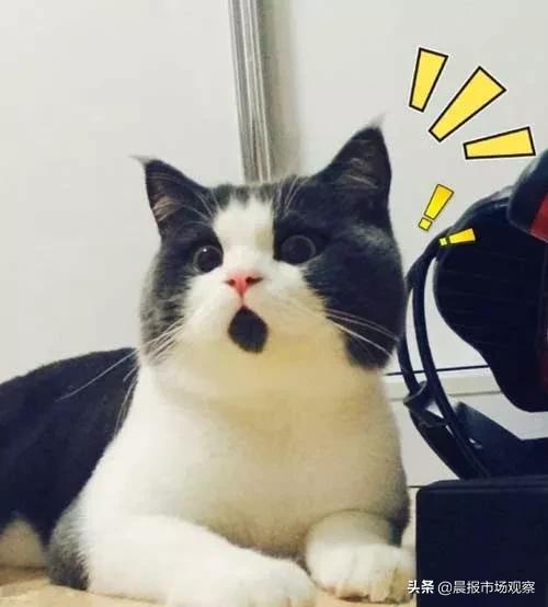 阿卡贝拉年会大合唱创意节目,阿卡贝拉演出现场