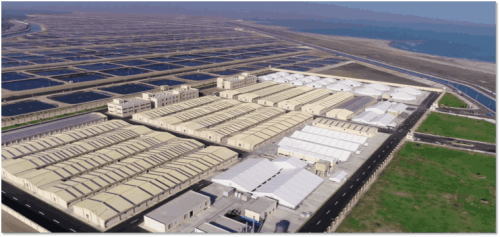 中国恒兴水产品牌,恒兴水产产品