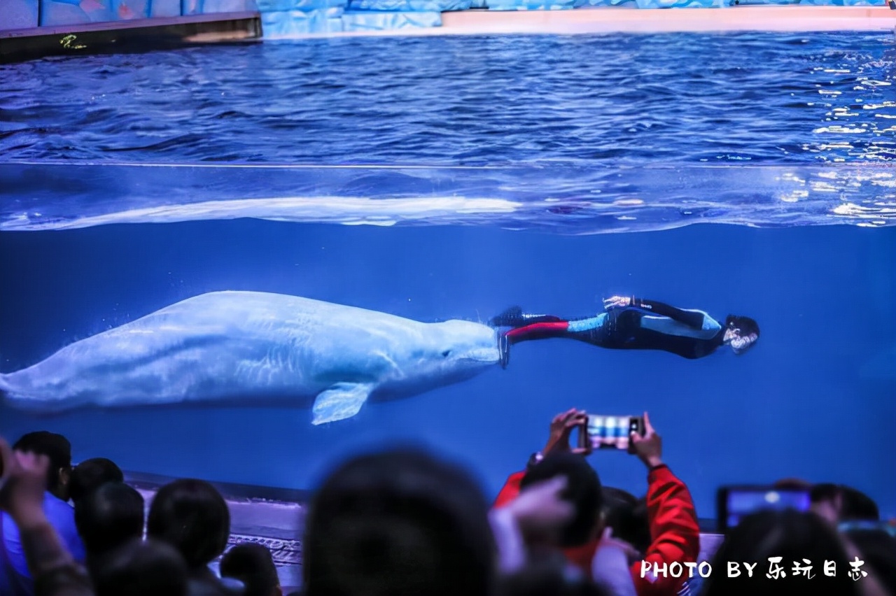 来珠海旅游必打卡的景点,春节珠海亲子游玩地方推荐