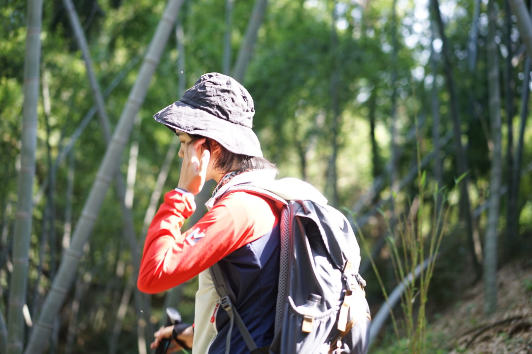 去奔赴一场旅途,去奔赴一场极光盛宴