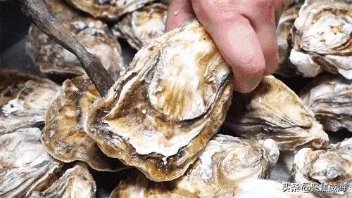 撸串+啤酒+音乐SHOW①站配齐！更有直升机带你遨游威海！