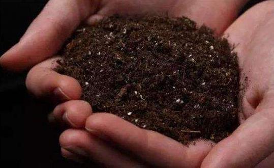 常见人工增甜剂,增甜剂哪种最好