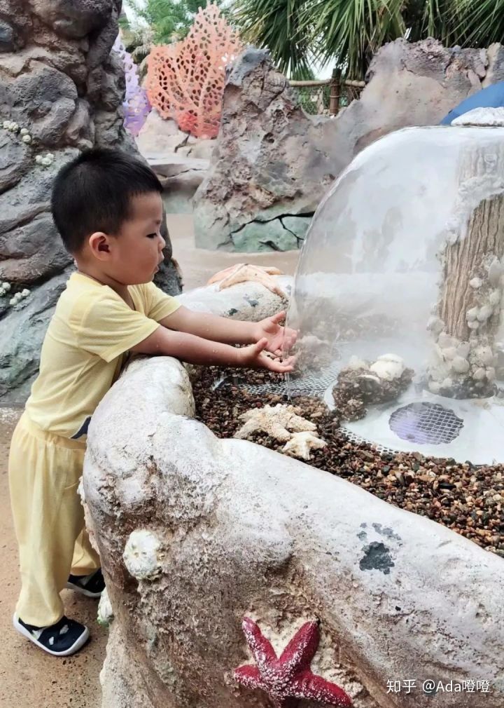 独自带2岁的娃怒刷了10次上海迪士尼，不听我听谁？