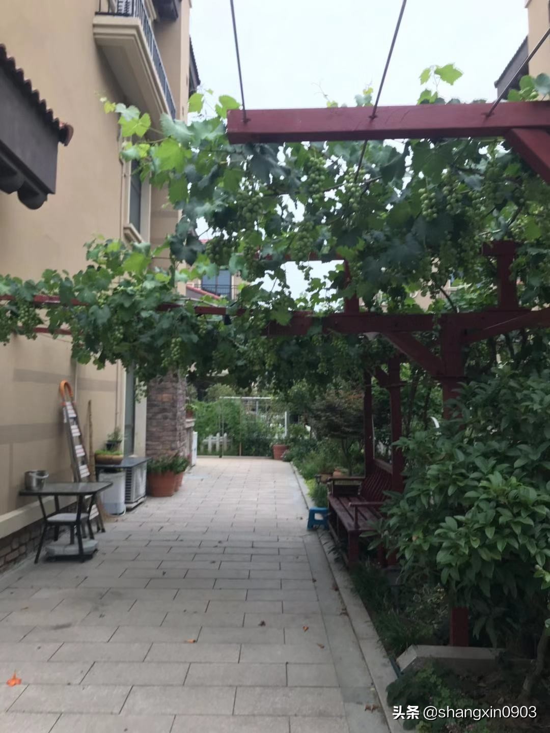 娴烽槼纰ф鍥紨鍞变細,娴烽槼涓佸瓧婀剧ⅶ妗傚洯