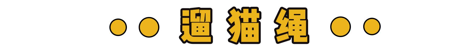 新到家猫咪需要做什么体检,猫咪到家第一夜铲屎官怎么做