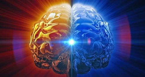 右脑开发背后的真相,右脑智力开发是真是假