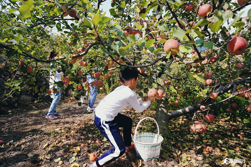 茶马古道重镇旅行,茶马古道旅行