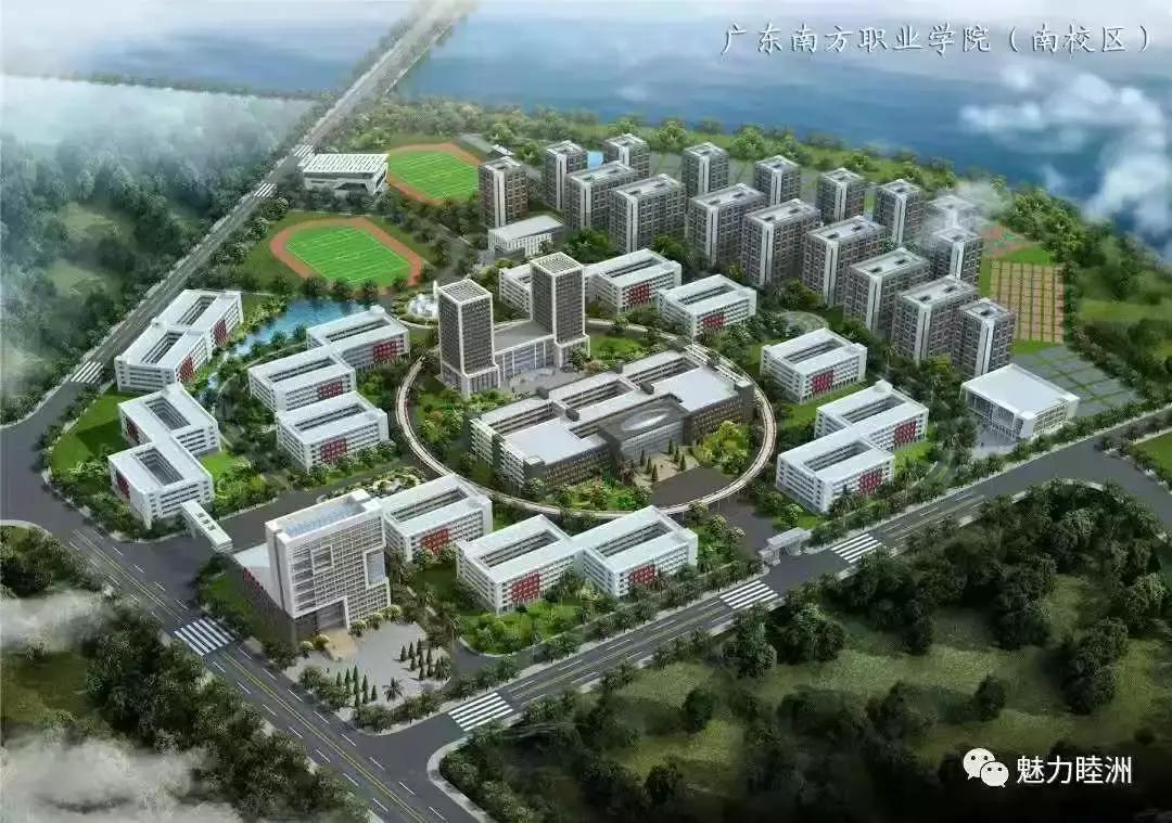 江门省实中学附属学校本科率,江门省实学校