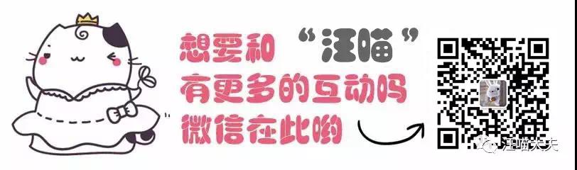 猫咪生气时的叫声,猫咪生气的吼叫声