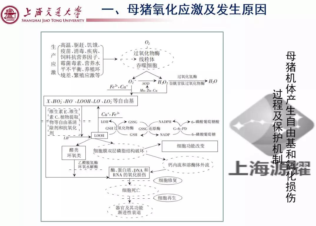 徐建雄教授讲座,徐建雄教授上海大学