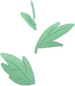 过敏性鼻炎春季高发期几月,春季是不是鼻炎高发期