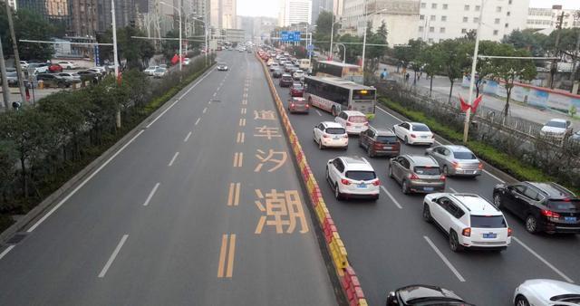 牢记这五种标线不然24分都不够扣,不认识这8种标线24分都不够扣