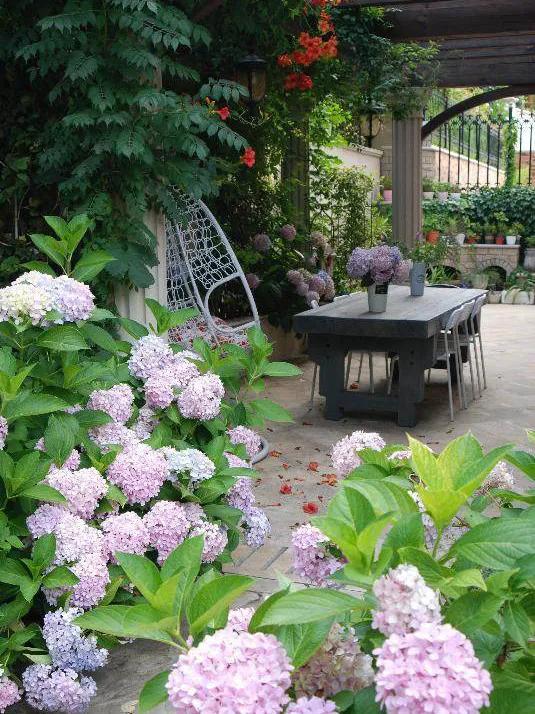 东北花园四季开花植物,北方一年四季都开花的花园