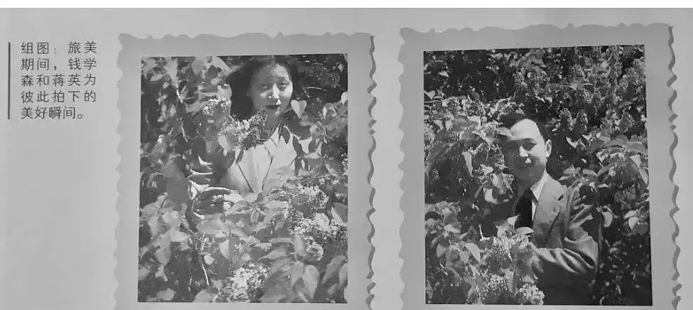 分析钱学森与蒋英爱情故事,钱学森与蒋英的爱情故事发言