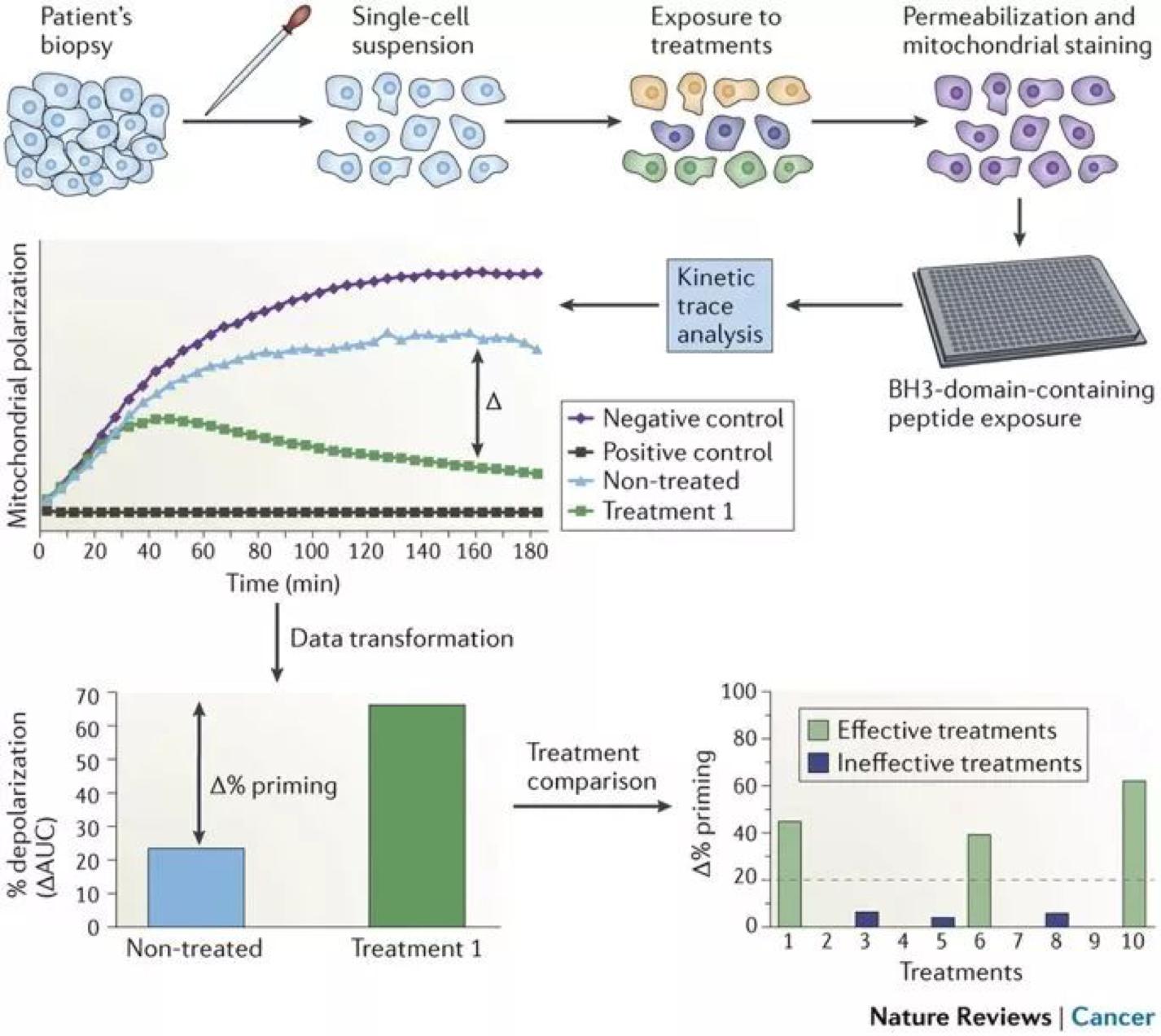 精准治疗在肿瘤诊断中的作用,国产创新推动肿瘤精准治疗