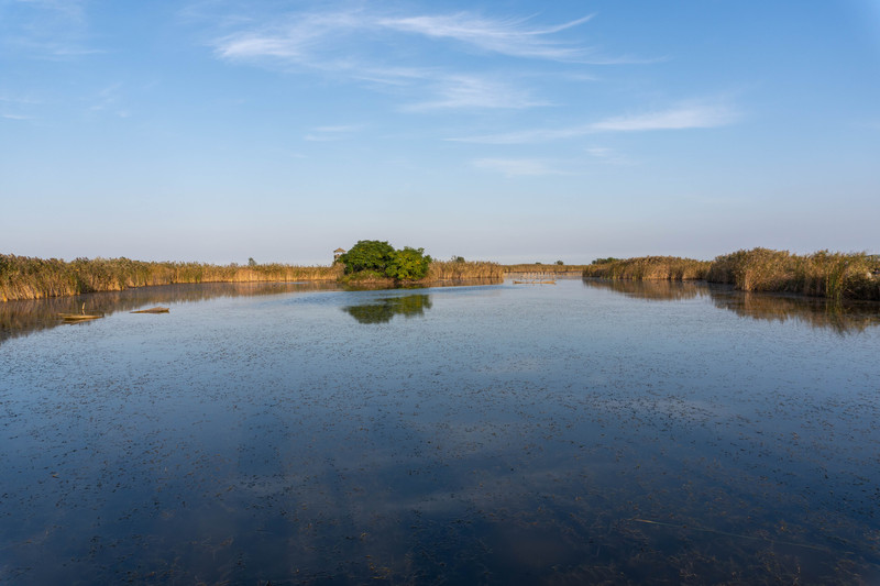 森林麋鹿公园,森林麋鹿