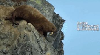 笑完后才发现的真实事件,笑完后才发现原来说的那么真实