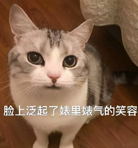 稳居文案,适合发朋友圈的憨憨文案