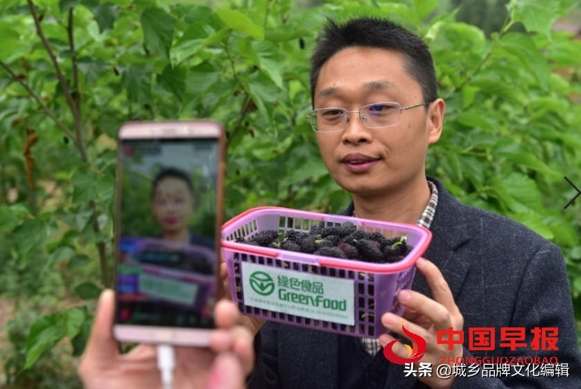 芷江乡村振兴,湖南乡村振兴电商