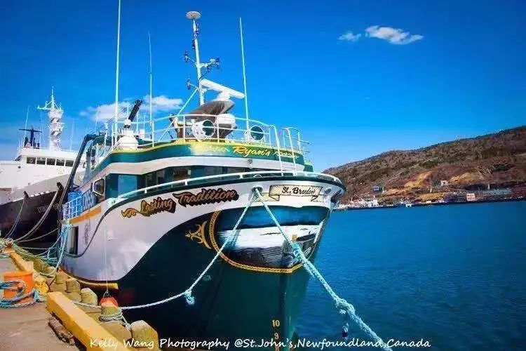 教你如何轻松开花店,开花店的十大经验分享