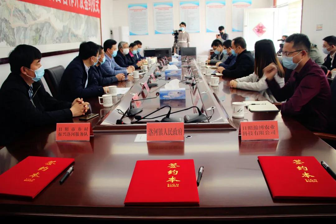 閲戣姳灞辩殑椋庢儏灏忛晣,鑾掑幙鐗硅壊灏忛晣椤圭洰