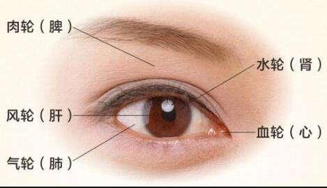 小孩睁眼睡觉是怎么回事,睁眼睡着了是什么原因