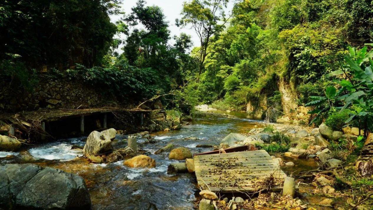 被郑州人藏起来不告诉外地人的四大景点，小伙冒死递出情报