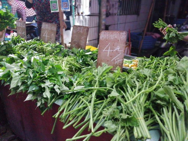 南宁市近期蔬菜涨价何时能解决,疫情后南宁菜价上涨原因