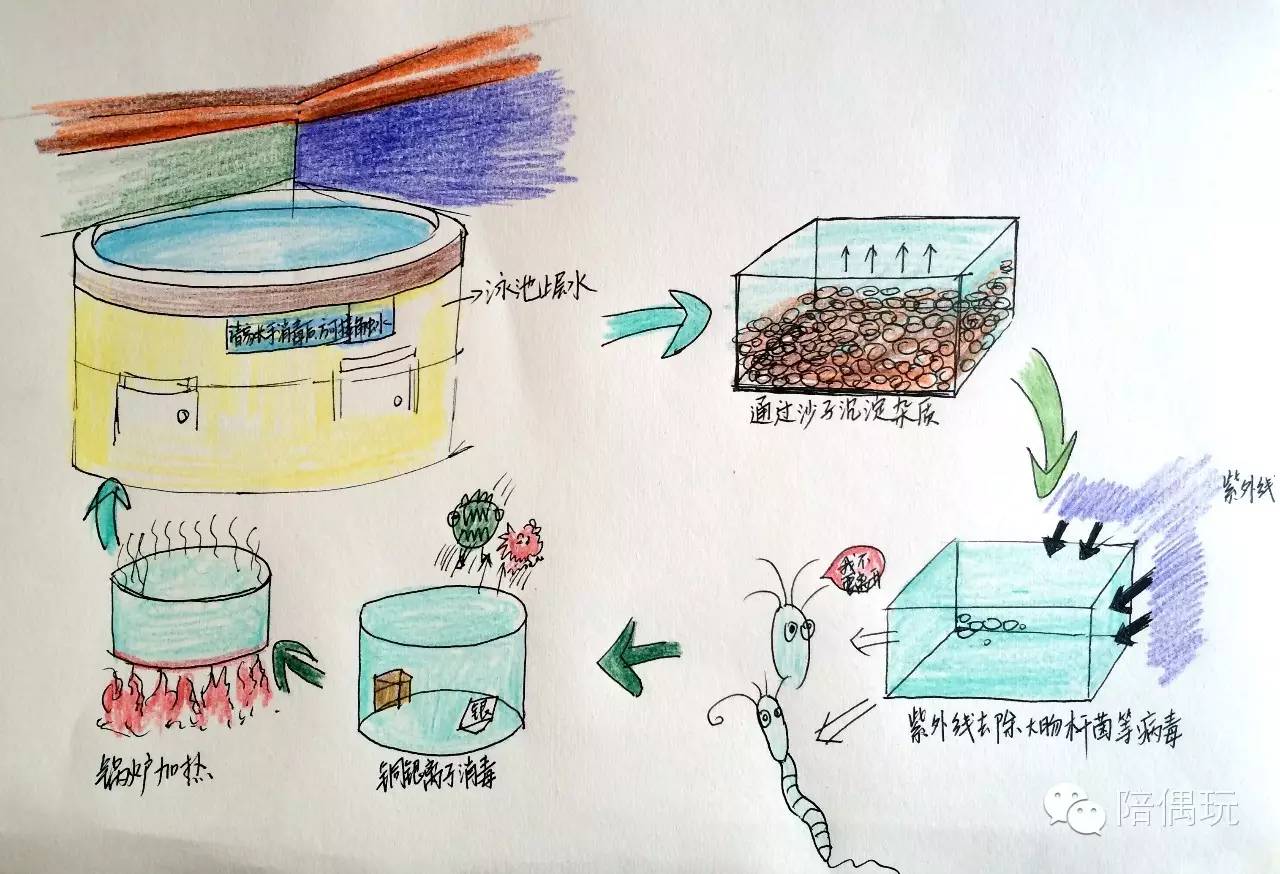 发现武汉6家尖板眼的婴幼游泳馆(内含水质测评)