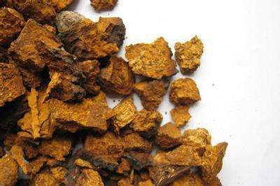 白桦茸与桦褐孔菌的区别,桦褐孔菌提取物护肤功效