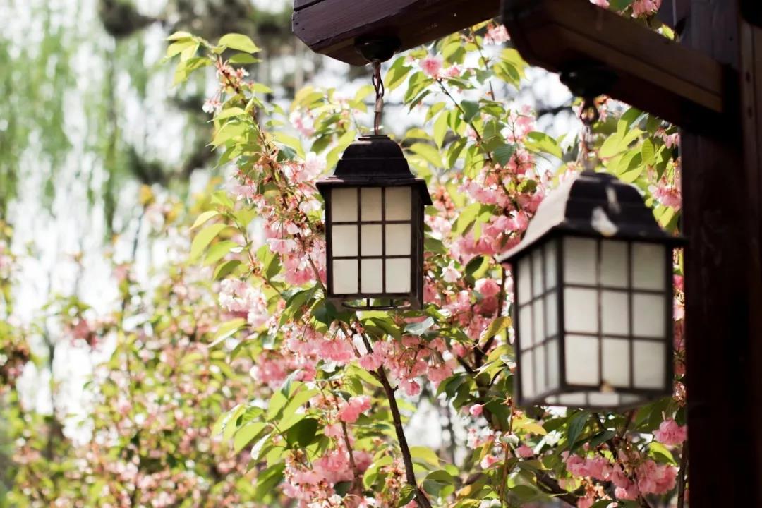 诗词里的情愫,诗词里藏着动人的情话