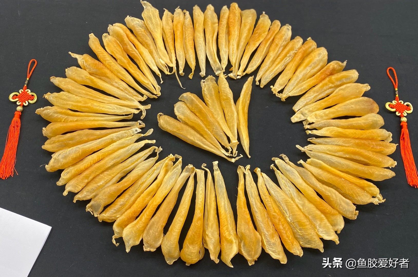 本港小白花胶与白花胶的区别,花胶白色和黄色区别