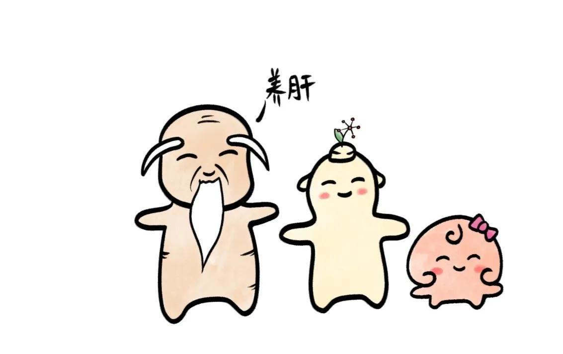 怒伤肝了中医调理,怒伤肝以后怎么恢复