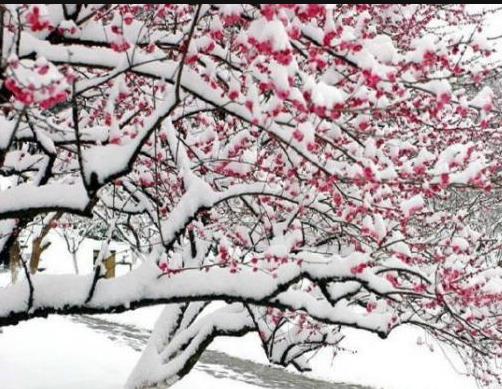 四年级部编版语文上册第三课笔记,部编版四年级上册语文第三课练习