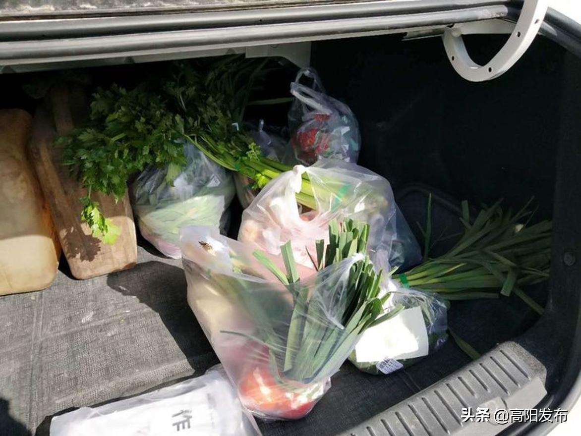 凝心聚力战疫情众志成城有担当,凝心聚力应对疫情防控攻坚战