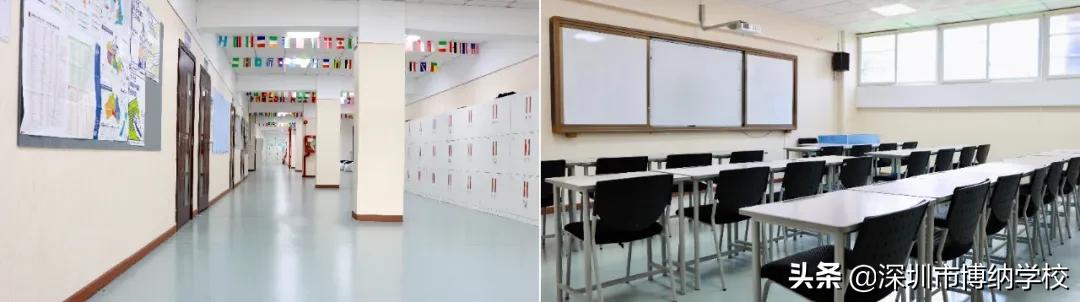 深圳南山这所宝藏国际学校，带你去打卡
