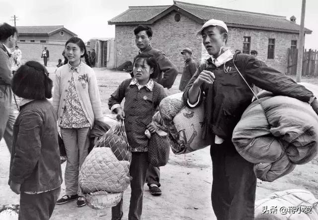 60年代新西兰,六十年代新西兰