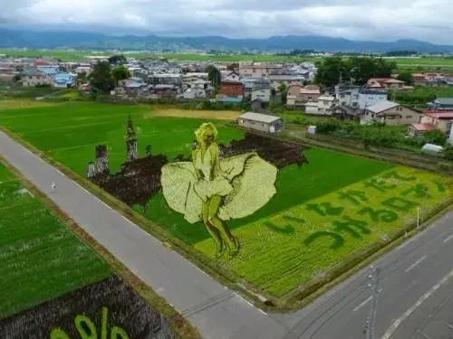 日本农业十大经典精髓,日本农业值得研究的点