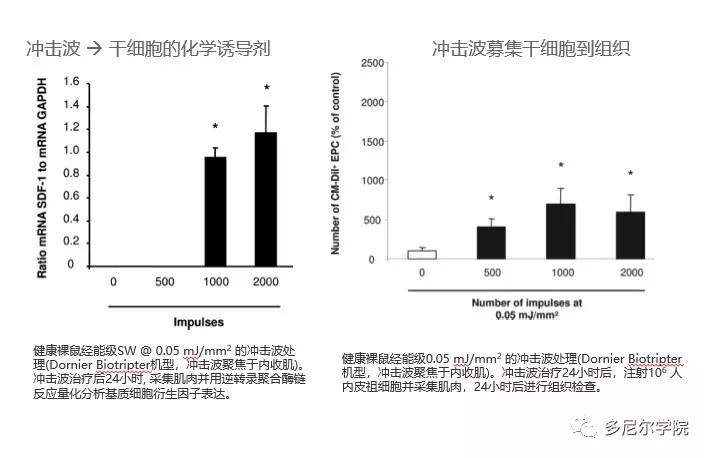 神话战斗力最强的生物,冲击波的生物学效应