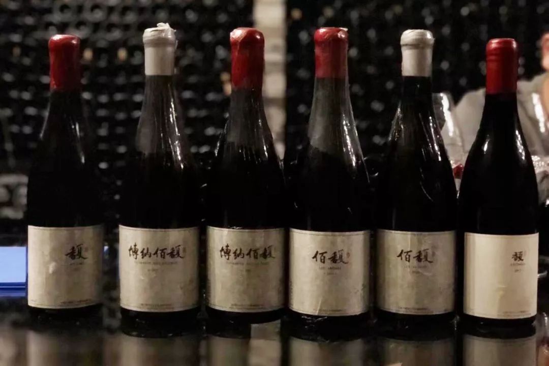 中国宁夏葡萄酒走向世界,宁夏葡萄酒从这里走向世界