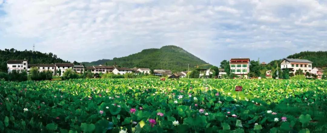 骞垮厓蹇箰椹跨珯鏃呮父鏀荤暐,鍘诲箍鍏冪殑鏀荤暐璺嚎鎺ㄨ崘